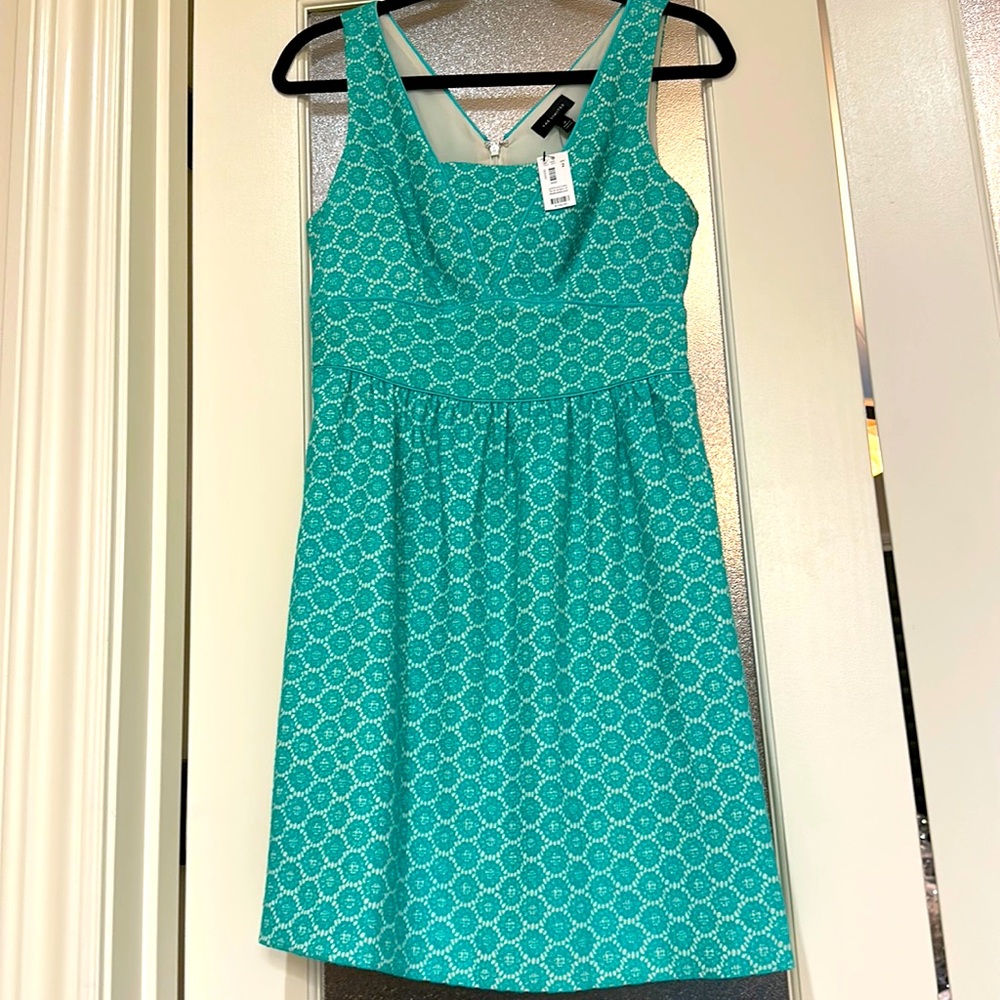 The limited brand new dress